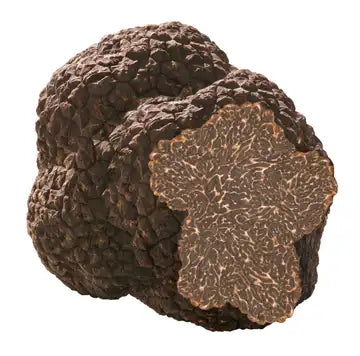FD Tartufi Fresh Black Pèrigord Truffles - M Fresco, Inc