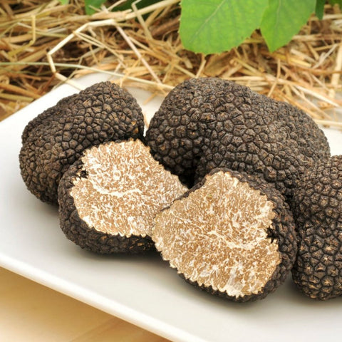 Fresh Truffles