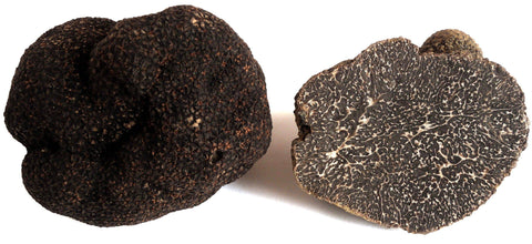 FD Tartufi Fresh Black Pèrigord Truffles - M Fresco, Inc