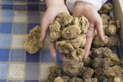 How to choose your Truffles