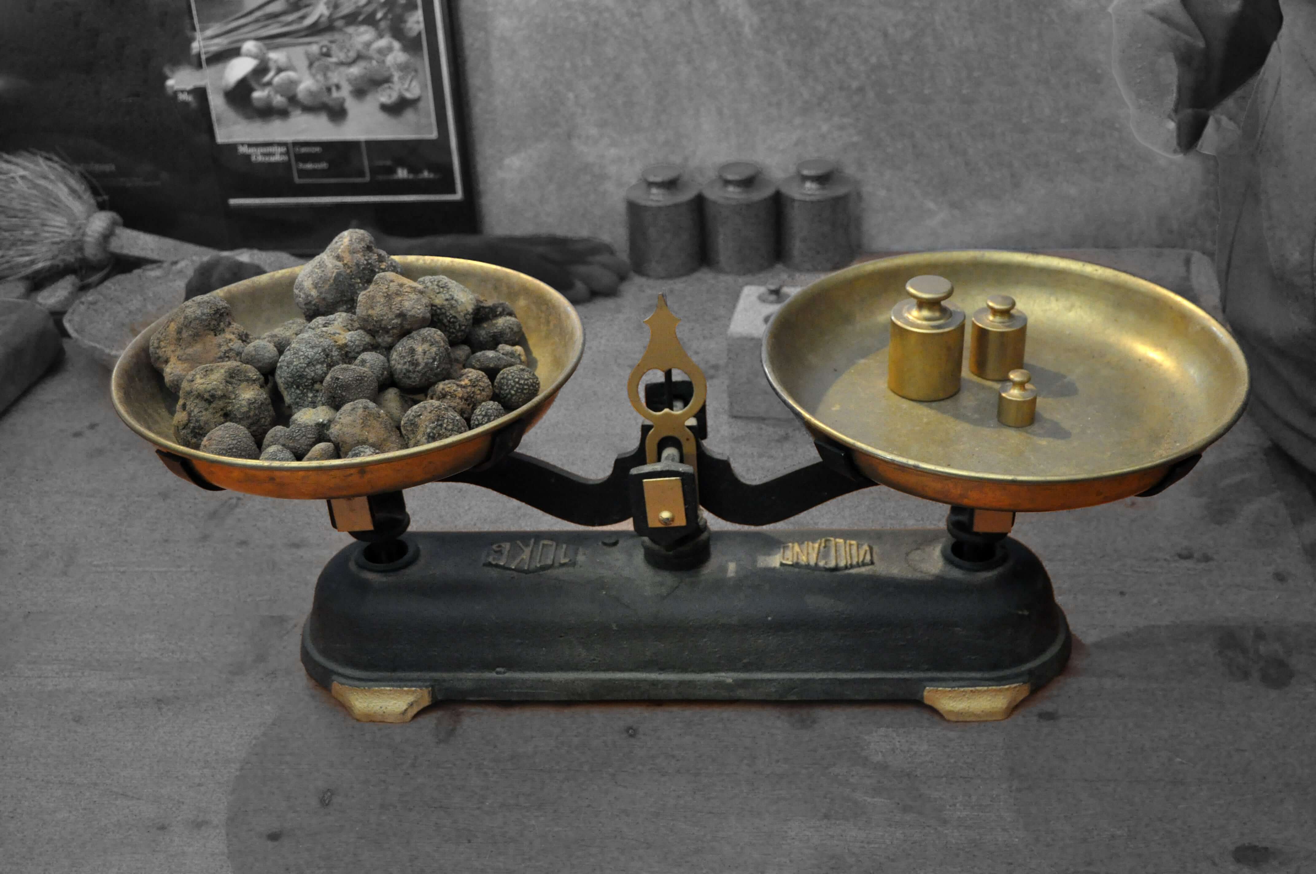 Explore the Fascinating Truffle History | M Fresco, Inc